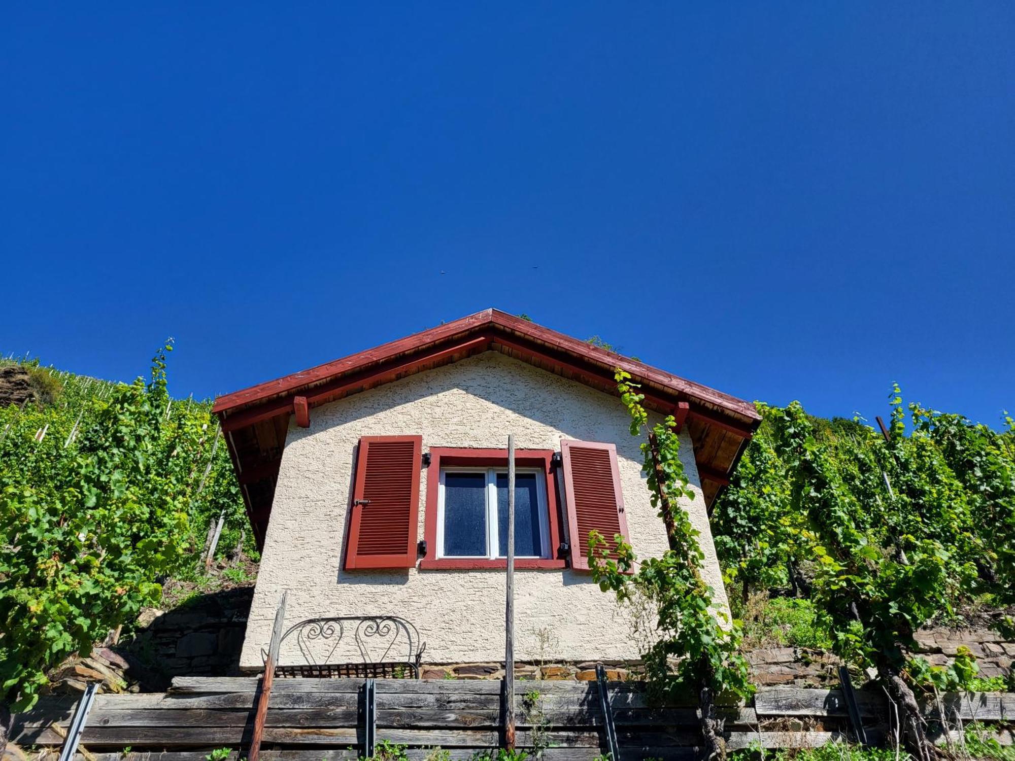 Ferienhaus-Am-Alten-Stadttor 에디게르-엘러 외부 사진